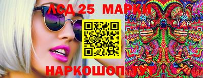 альфа пвп Аргун