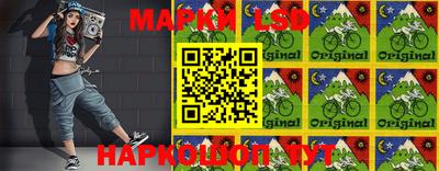 эйфоретик Аргун