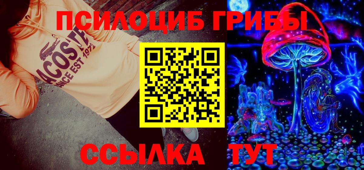 Псилоцибиновые грибы GOLDEN TEACHER  хочу наркоту  Галлюциногенные грибы GOLDEN TEACHER  Белая Калитва 