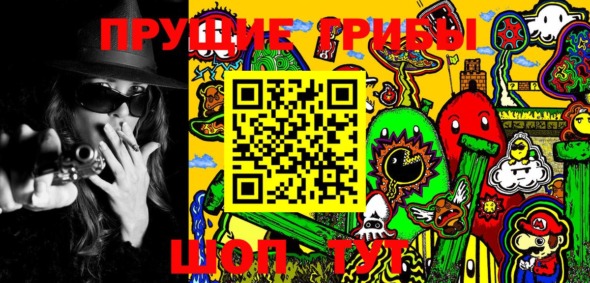 Галлюциногенные грибы Psilocybine cubensis Белая Калитва