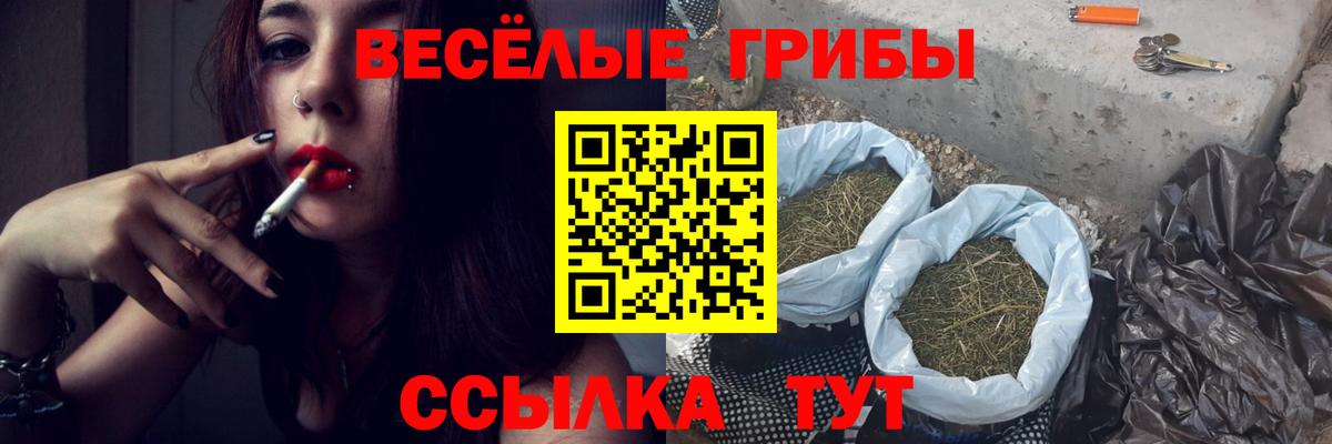 Псилоцибиновые грибы мухоморы  Вход с VPN  Белая Калитва 