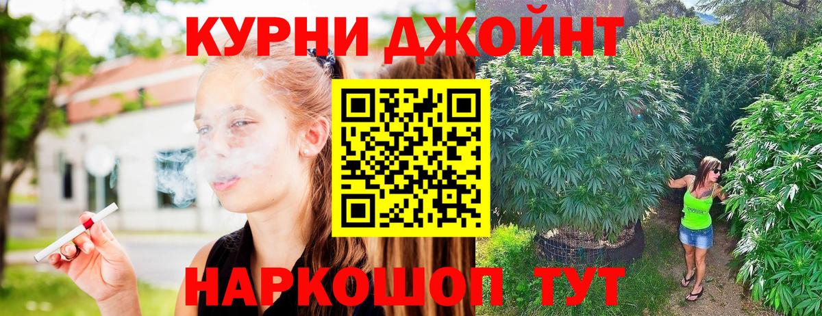 Бошки марихуана White Widow  МАРИХУАНА Bruce Banner  Белая Калитва  Конопля семена 